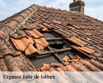 Urgence fuite de toiture