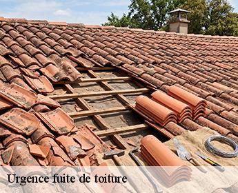 Urgence fuite de toiture