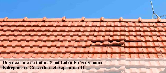 Urgence fuite de toiture  saint-lubin-en-vergonnois-41190 Entreprise de Couverture et Reparation 41