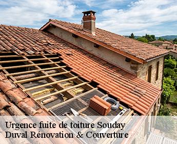 Urgence fuite de toiture  41170