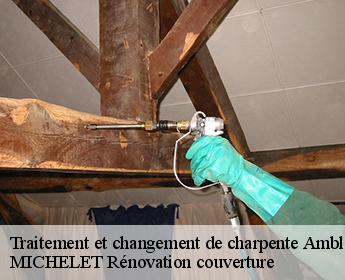 Traitement et changement de charpente 41310