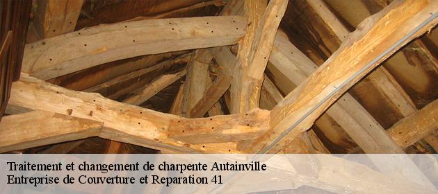 Traitement et changement de charpente  autainville-41240 Entreprise de Couverture et Reparation 41