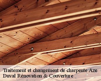 Traitement et changement de charpente 41100