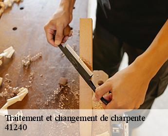 Traitement et changement de charpente