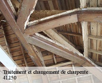 Traitement et changement de charpente  41250