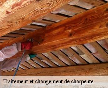 Traitement et changement de charpente  41250