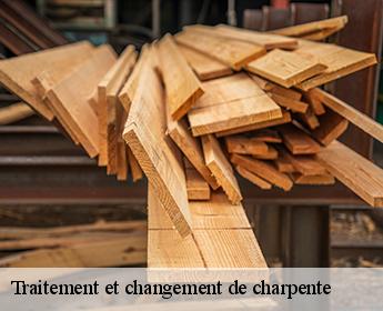 Traitement et changement de charpente  41120