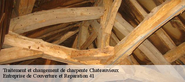 Traitement et changement de charpente  chateauvieux-41110 Entreprise de Couverture et Reparation 41
