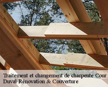 Traitement et changement de charpente  cour-sur-loire-41500 Duval Rénovation & Couverture