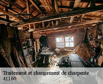 Traitement et changement de charpente  41160