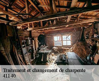 Traitement et changement de charpente 41140