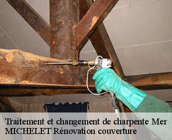 Traitement et changement de charpente  41500