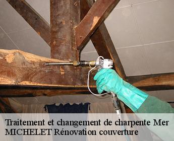 Traitement et changement de charpente 41500