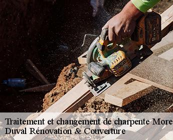 Traitement et changement de charpente