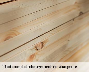 Traitement et changement de charpente