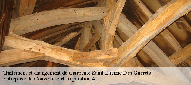 Traitement et changement de charpente  saint-etienne-des-guerets-41190 Entreprise de Couverture et Reparation 41