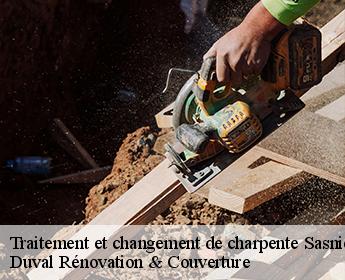 Traitement et changement de charpente