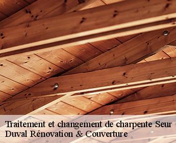 Traitement et changement de charpente 41120