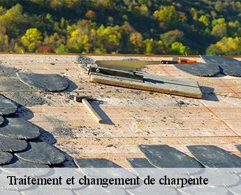 Traitement et changement de charpente