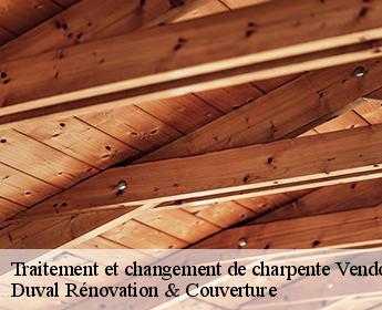 Traitement et changement de charpente  41100