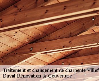 Traitement et changement de charpente  41330