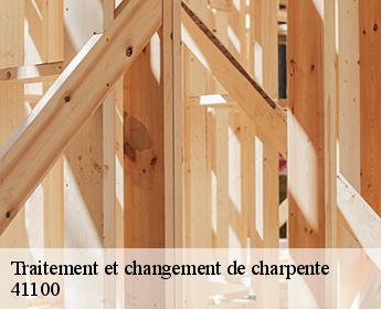 Traitement et changement de charpente  41100