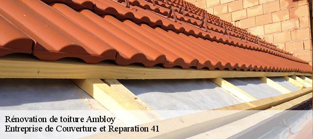 Rénovation de toiture  ambloy-41310 Entreprise de Couverture et Reparation 41