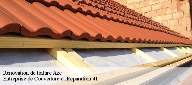 Rénovation de toiture  aze-41100 Entreprise de Couverture et Reparation 41