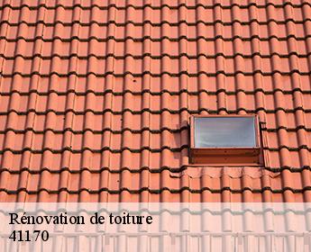 Rénovation de toiture  41170