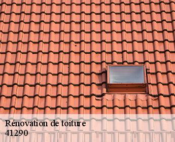 Rénovation de toiture 41290