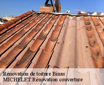 Rénovation de toiture binas-41240 Entreprise de Couverture et Reparation 41