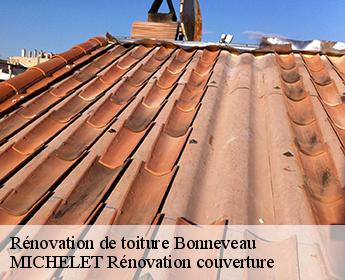 Rénovation de toiture  bonneveau-41800 Entreprise de Couverture et Reparation 41