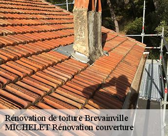 Rénovation de toiture 41160
