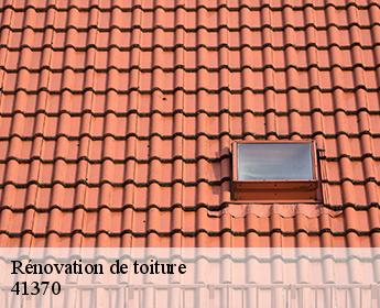 Rénovation de toiture  41370