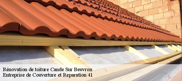 Rénovation de toiture  cande-sur-beuvron-41120 Entreprise de Couverture et Reparation 41