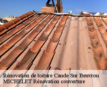 Rénovation de toiture  cande-sur-beuvron-41120 Entreprise de Couverture et Reparation 41