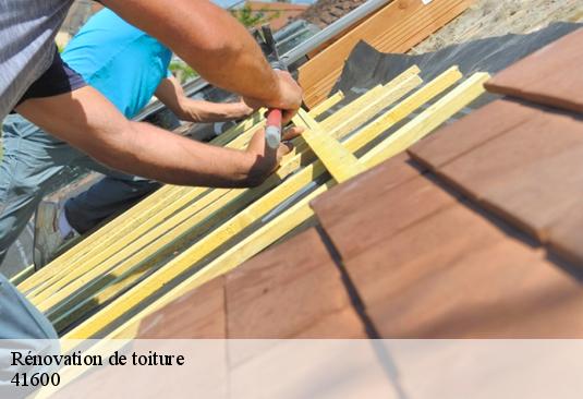 Rénovation de toiture  41600