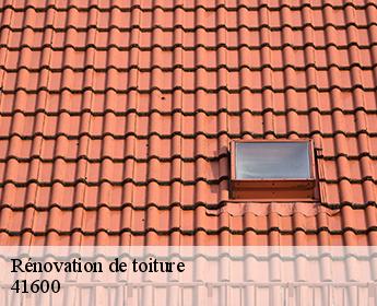 Rénovation de toiture  41600