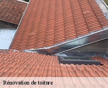 Rénovation de toiture  41110