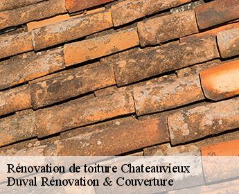 Rénovation de toiture  chateauvieux-41110 Duval Rénovation & Couverture