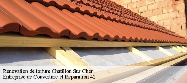 Rénovation de toiture  chatillon-sur-cher-41130 Entreprise de Couverture et Reparation 41