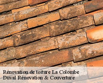 Rénovation de toiture la-colombe-41160 Duval Rénovation & Couverture