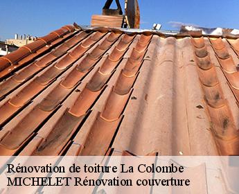 Rénovation de toiture la-colombe-41160 Entreprise de Couverture et Reparation 41