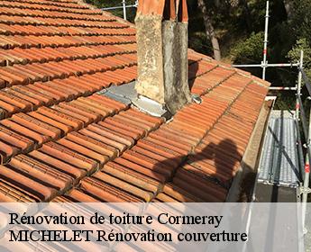 Rénovation de toiture 41120