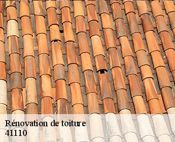 Rénovation de toiture 41110
