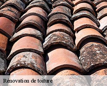 Rénovation de toiture