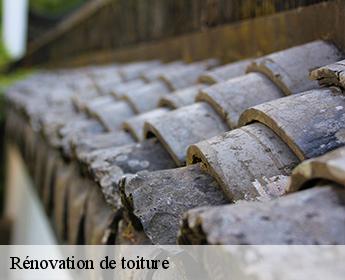 Rénovation de toiture 41110