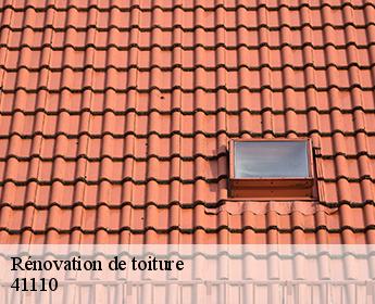 Rénovation de toiture 41110