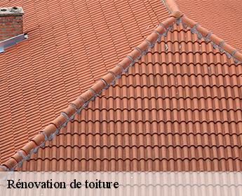 Rénovation de toiture