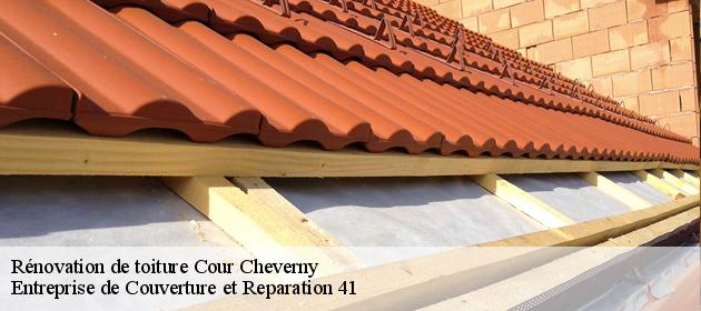 Rénovation de toiture  cour-cheverny-41700 Entreprise de Couverture et Reparation 41
